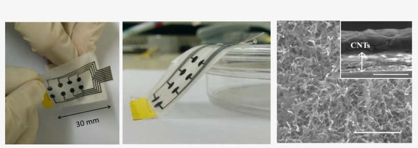 Picture1 - Yael Hanein, transparent png download