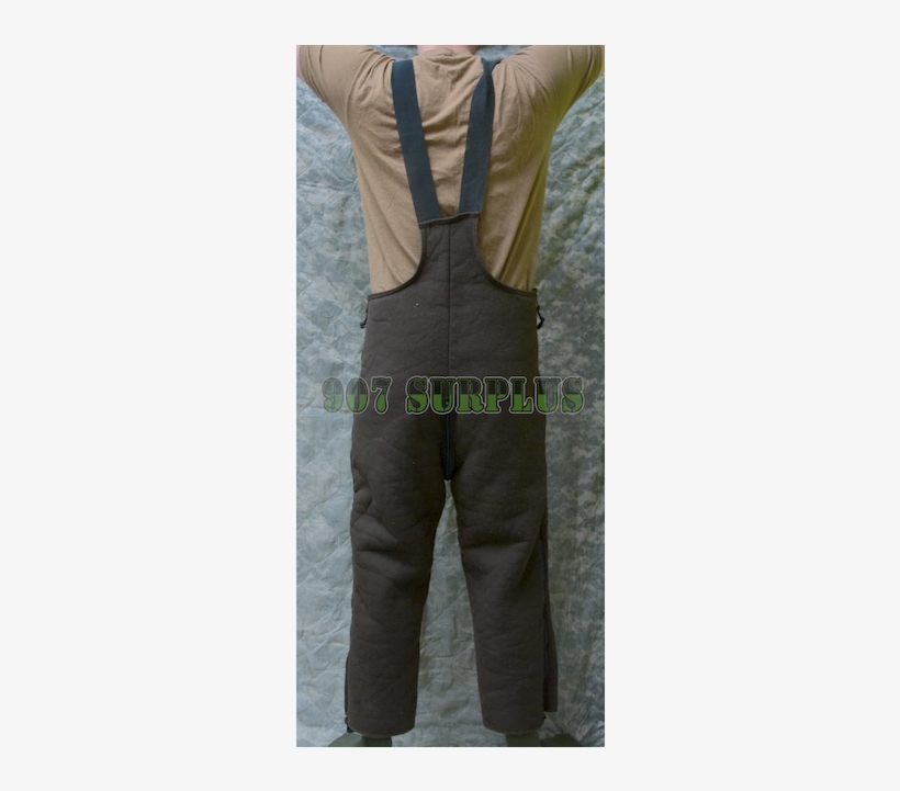 Brown Bear Suit Overalls - Pocket, transparent png download