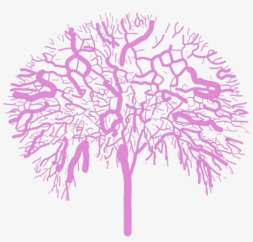 Image Result For Amazon Com Thinkscroll - Illustration, transparent png download