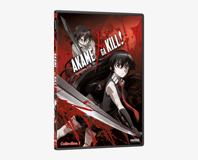 Cover Anime Akame Ga Kill, transparent png download