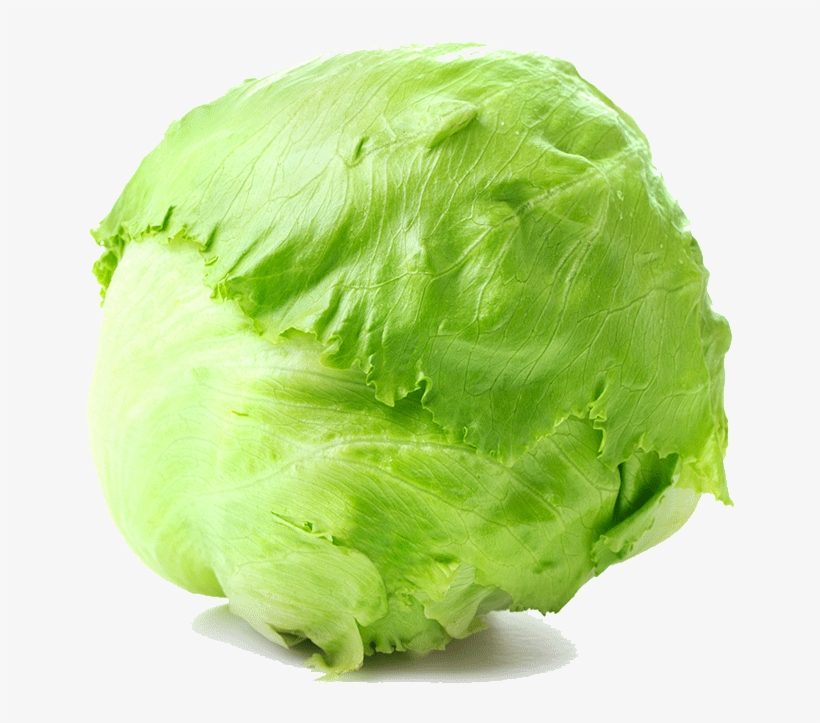 ‹ › - Round Lettuce, transparent png download
