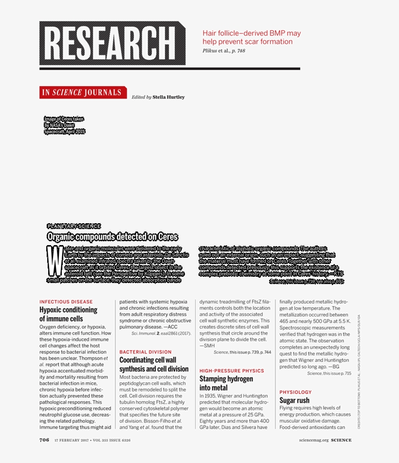 Paper, transparent png download