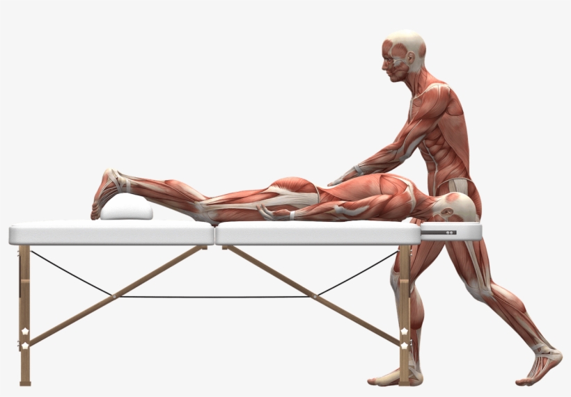 Wdt Emoji Bundle - Fisioterapia Para La Escoliosis, transparent png download