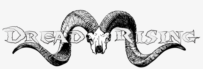 [ Img] - Animal Skull, transparent png download