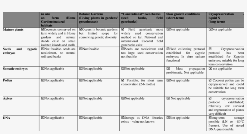 Comparison Of Conservation Options For Coconuts - Document, transparent png download