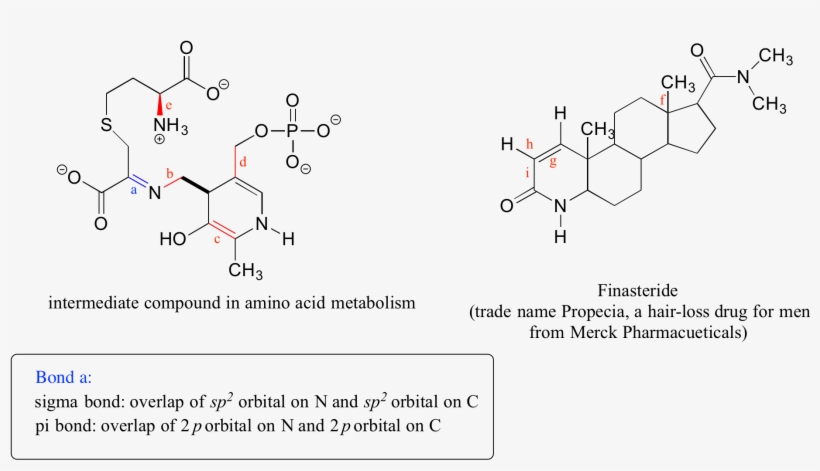 Fig2 1 24 - Diagram, transparent png download
