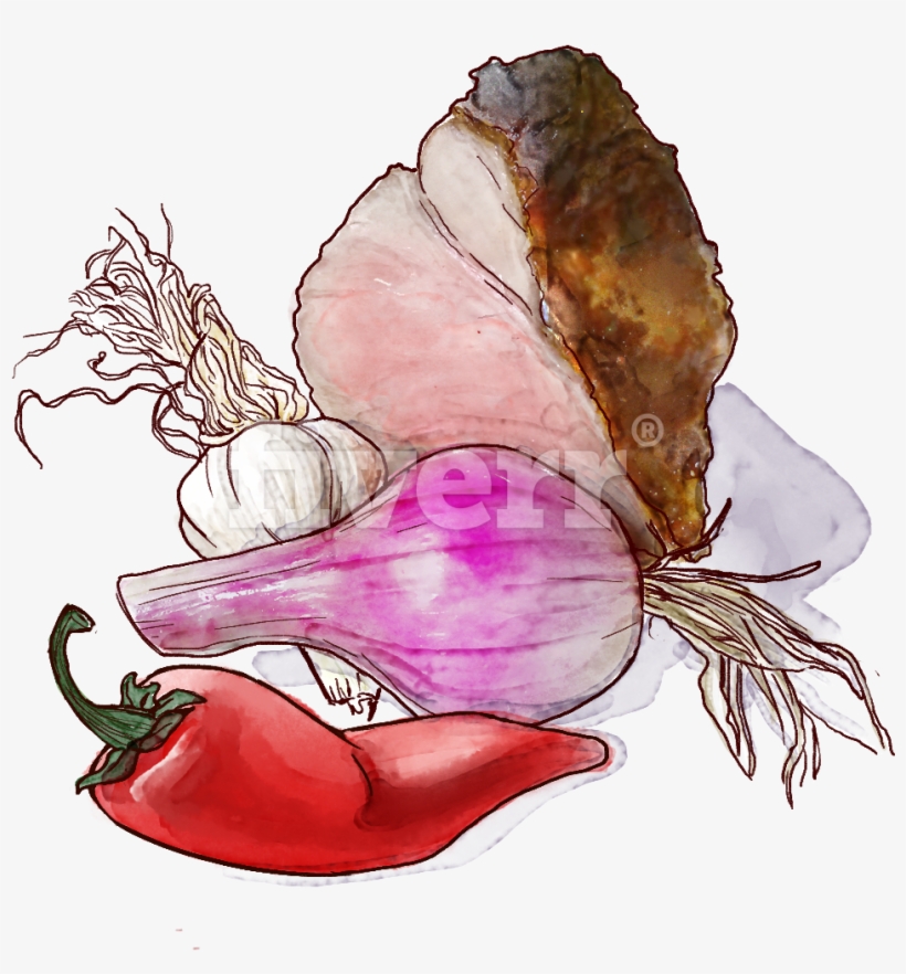 Watercolor Paint, transparent png download