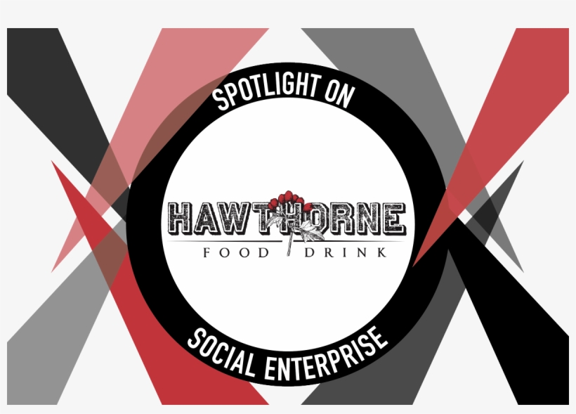 Spotlight On @hawthorneto - Twitter, transparent png download