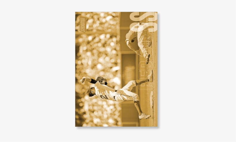 2018 Topps Baseball Stadium Club Xander Bogaerts Base - Plywood, transparent png download