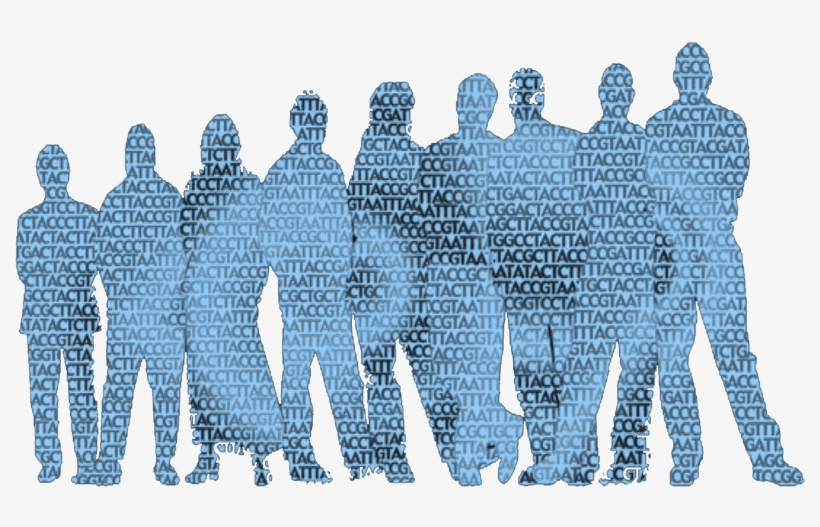 People - Crowd, transparent png download