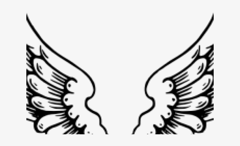 Bird Wings Clipart, transparent png download