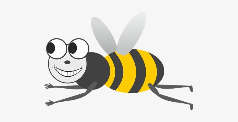 Bee Hummel Insect Summer Flying Grin Smile - Insect, transparent png download