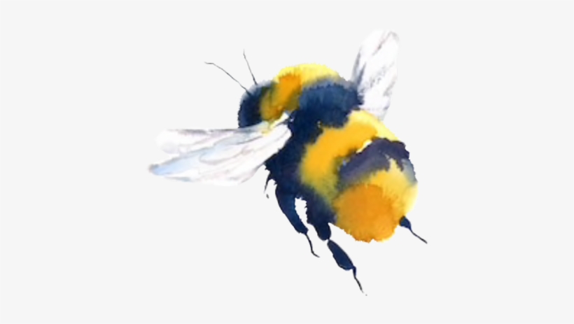 Bumblebee Flying, transparent png download