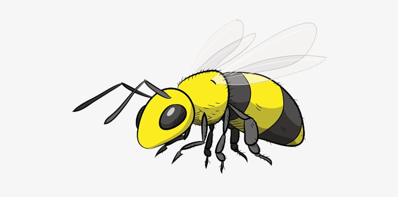 Menu Alerts Halley Elementary School Home Wasp Cartoon Drawing Transparent Png 531x325 Free Download On Nicepng Sat 17 may 2014 07.00 bst. menu alerts halley elementary school