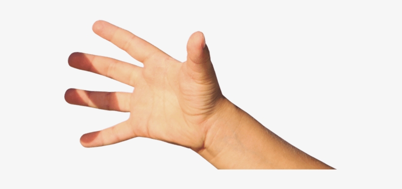 Helping The Most Vulnerable People In The Society - Child Hand Png, transparent png download