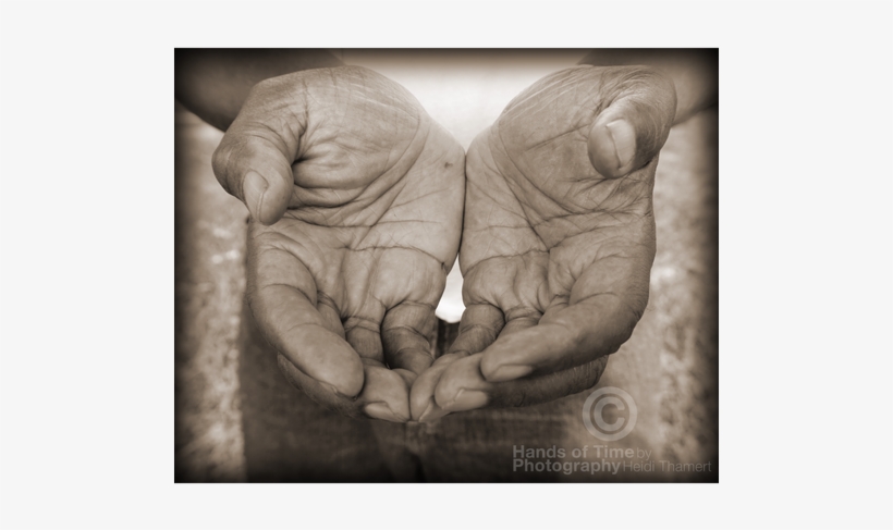 Giving Hands - Hand, transparent png download
