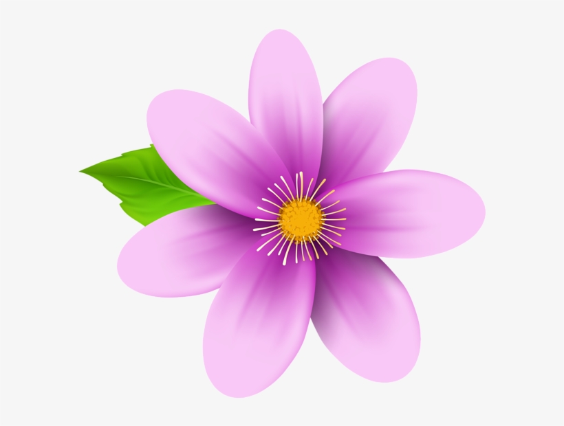0, - Blue Flower Wallpaper Png, transparent png download