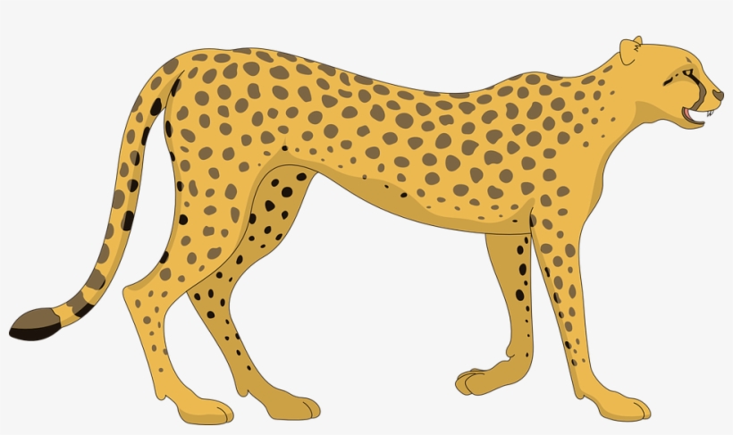 Cheetah Png Photos - Clipart Cheetah, transparent png download