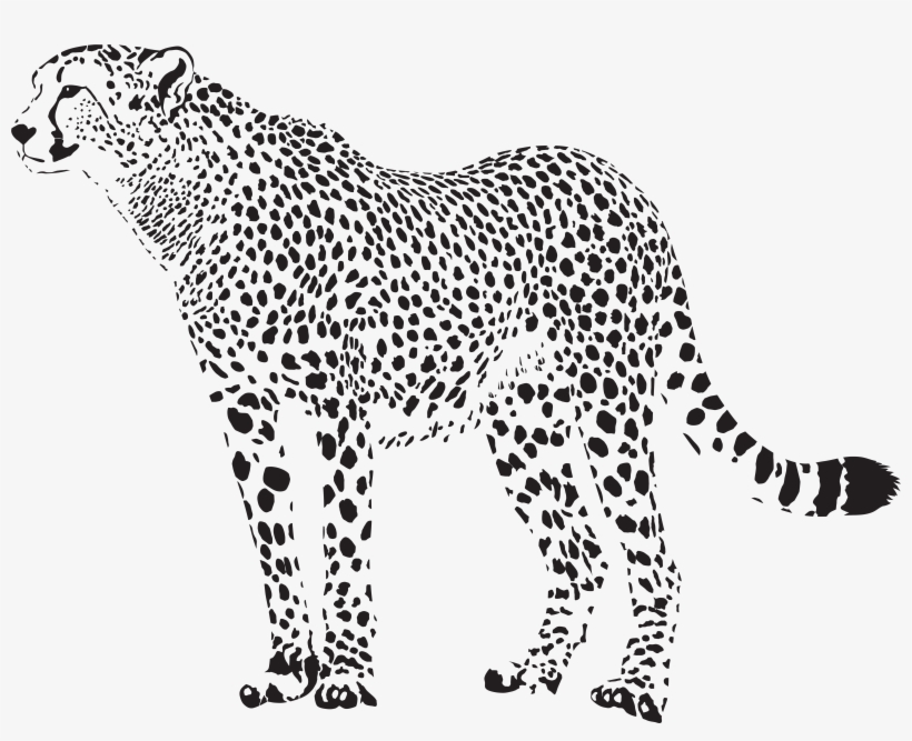 Cheetah Png, transparent png download