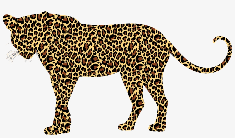 Leopard, Big Cat, Feline, Animal - เสือดาว Png, transparent png download