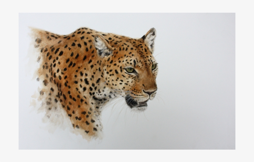 Silent Prowl - African Leopard, transparent png download