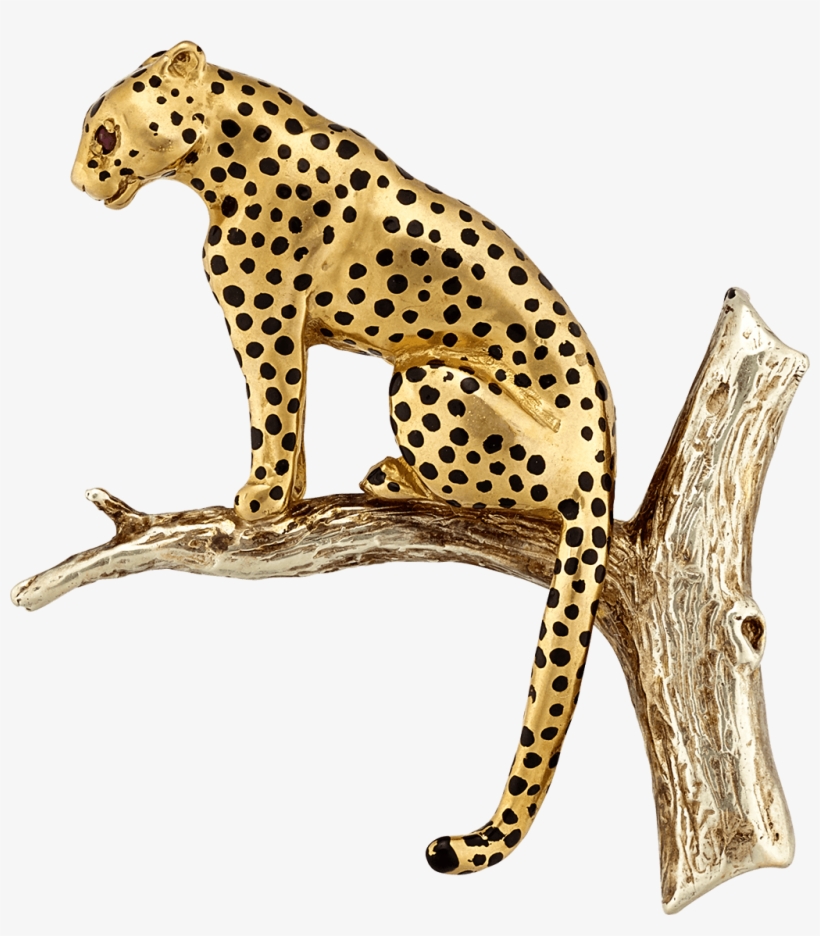 Leopard, transparent png download
