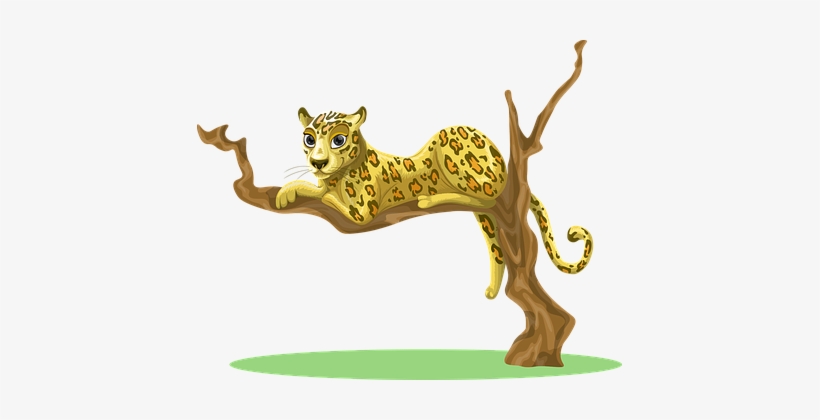 Leopard Tree Sitting Jungle Woods Environm - Cartoon Cheetah In A Tree, transparent png download