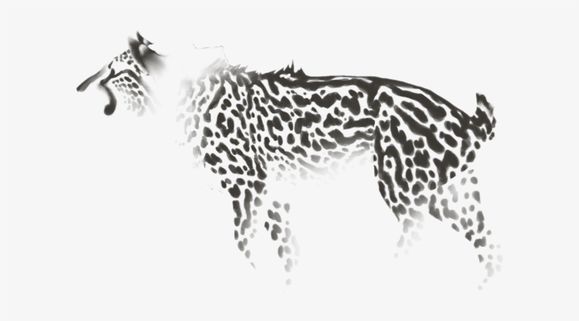 Cheetah, transparent png download