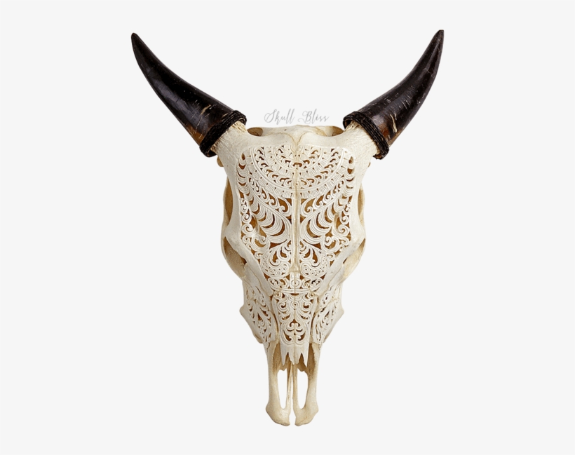 Carved Cow Skull - Cow Skull, transparent png download