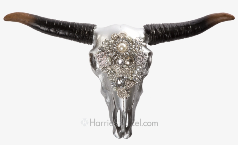 Hh Skull - Bull, transparent png download