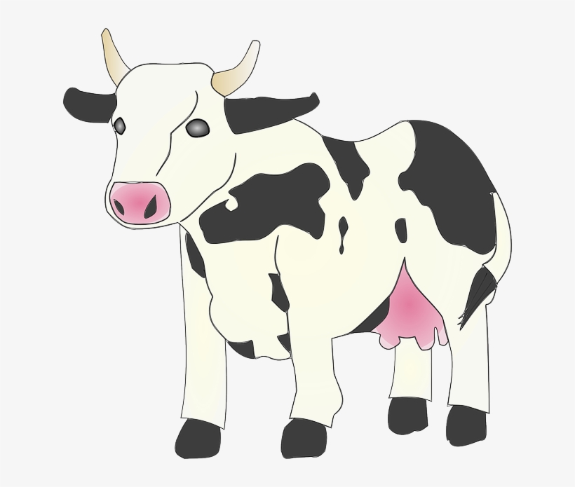 Clipart Info - Cow Clip Art, transparent png download
