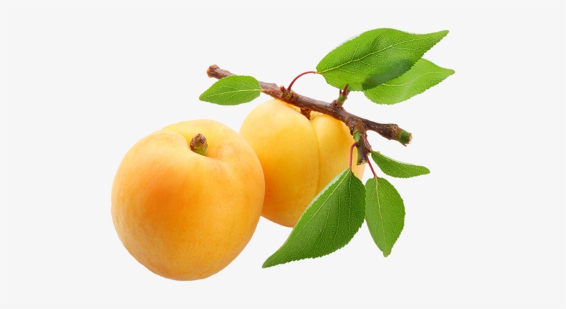 Chef Masterpiece Herbs Flavor Snack Specialty Fruit, transparent png download