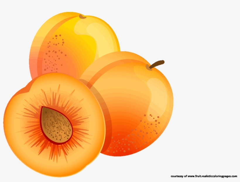 Apricot Clipart, transparent png download
