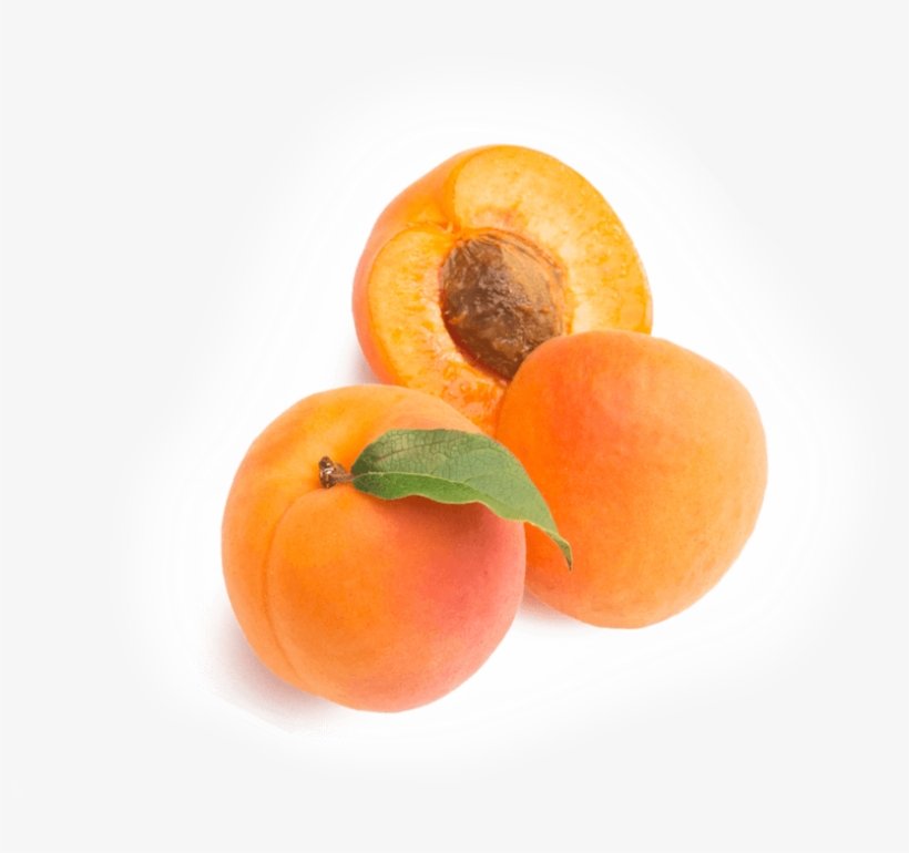 Apricot - Tangerine, transparent png download