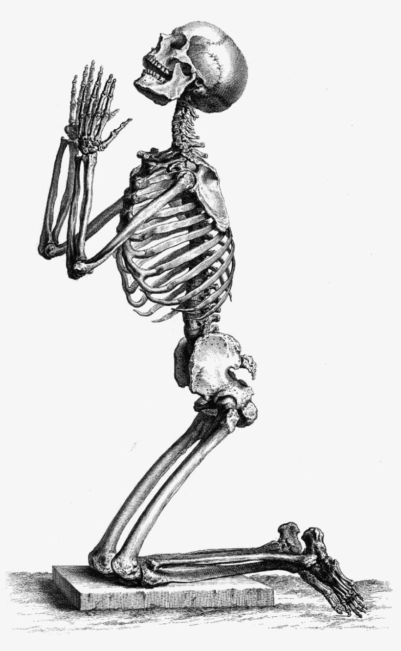 Praying - Poetry Lesson By Andrei Codrescu, transparent png download