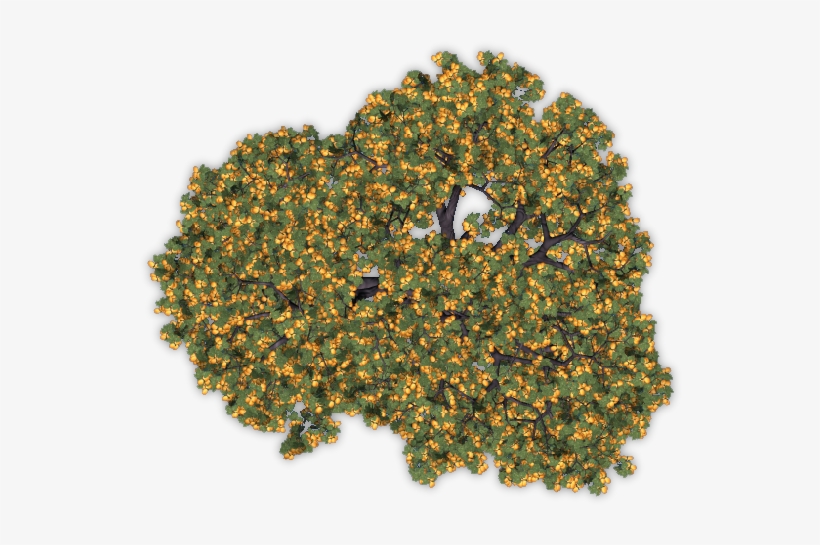 24 Mar 2009 - Tree, transparent png download