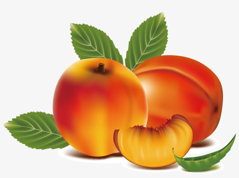 Download Peach Clipart Apricot Peach Fruit Clipart HD Transparent