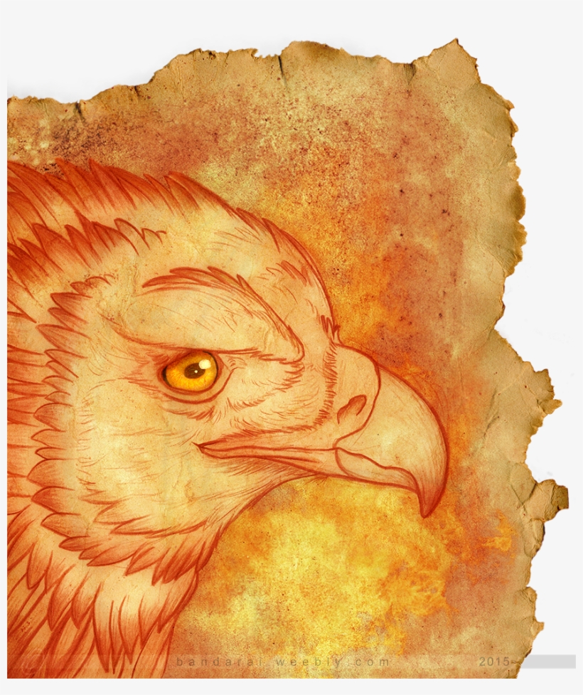 Rise From The Ashes - Old Paper, transparent png download