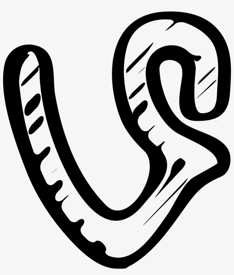 Vine Sketched Social Logo - Icon, transparent png download