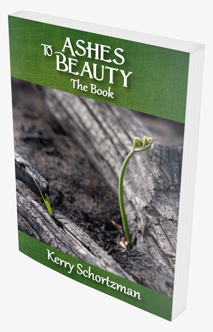 Ashes To Beauty The Book By Kerry Schortzman - House Of Fire: A Story Of Love, Courage, And Transformation, transparent png download