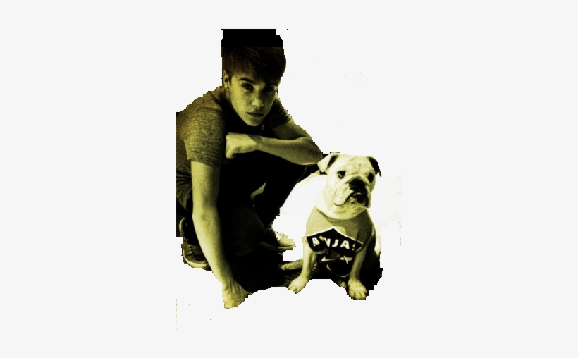 Justin Bieber Png By Lizabieber - Chris Brown Bulldog, transparent png download