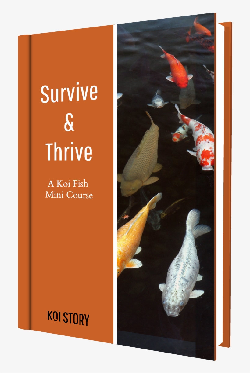 Koi Story Ebook Cover, transparent png download