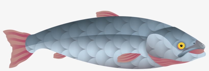 Inflatable, transparent png download