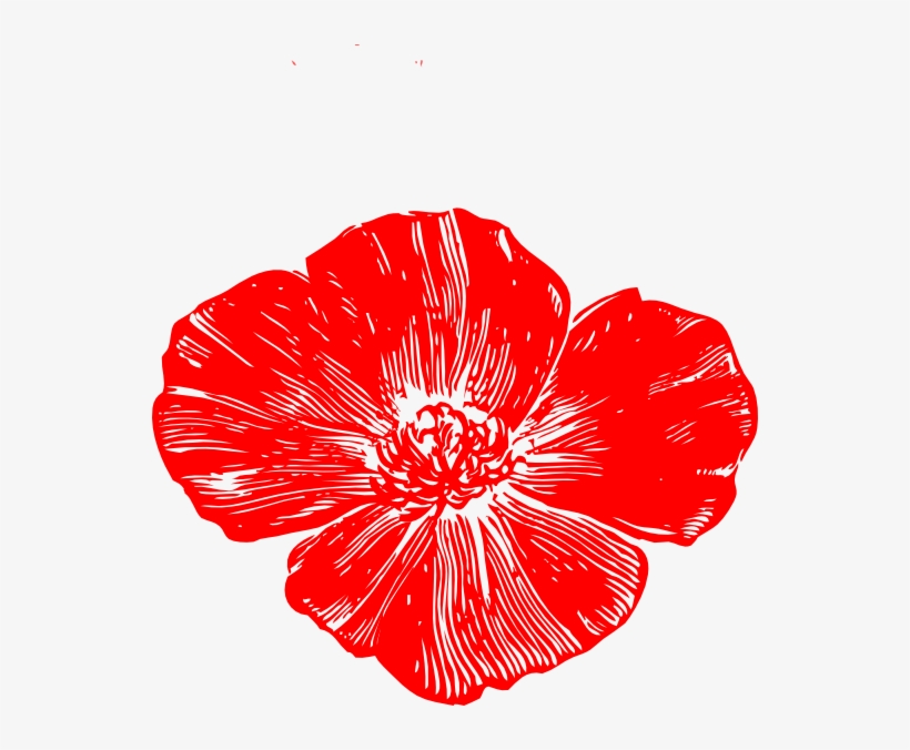 Watercolor Violet Poppy Lavender Purple Flowers Handpainted - Nurses Week 2016 Gif, transparent png download