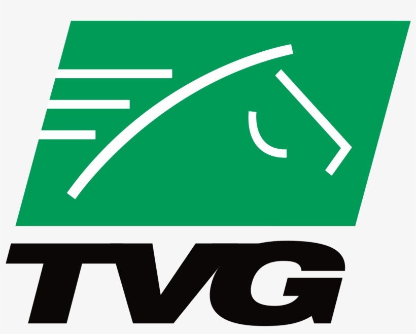 Tvg Network, transparent png download