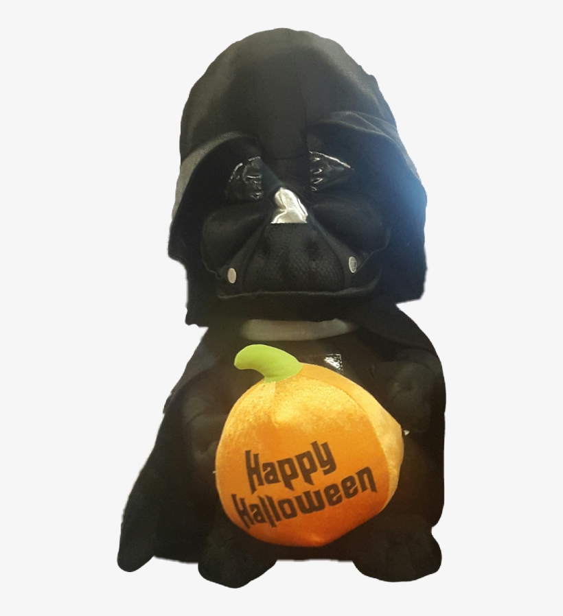 Citrus, transparent png download