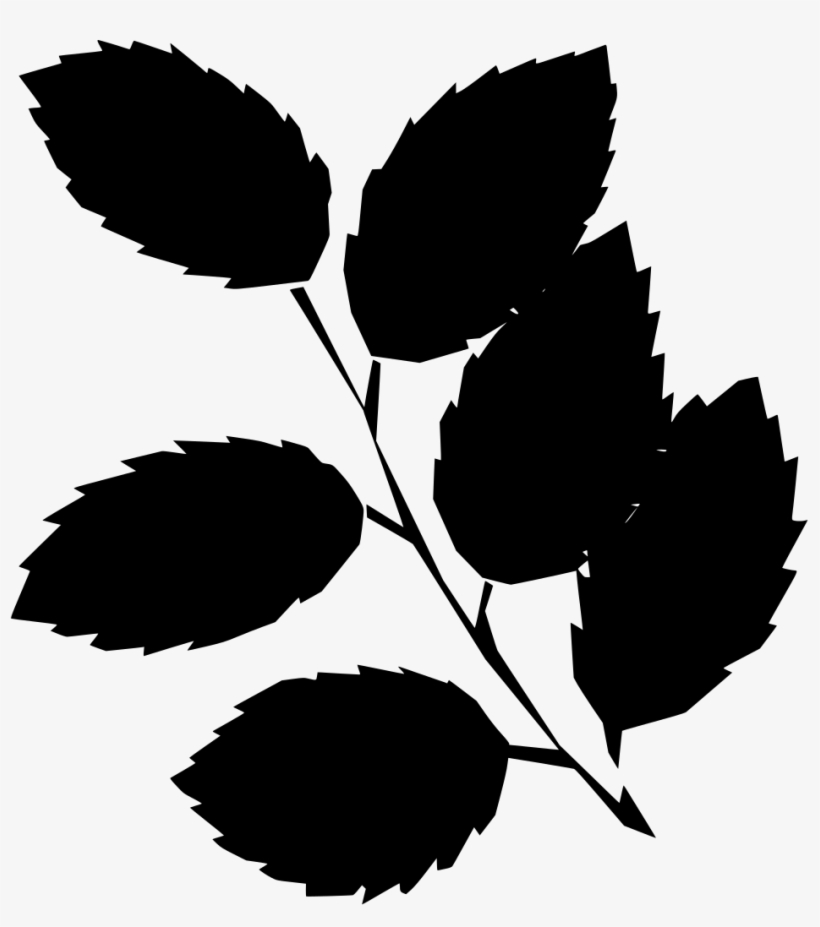 Download Png, transparent png download