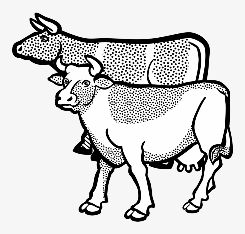 Texas Longhorn Baka English Longhorn Beef Cattle Ayrshire - Gambar Sapi Ilustrasi, transparent png download