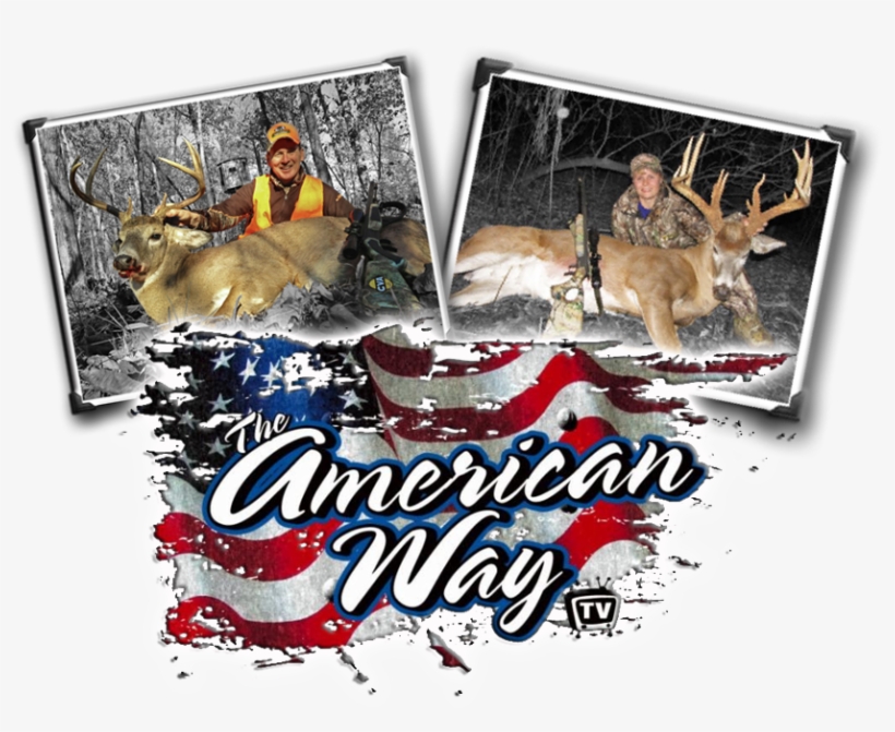 Picture - American Way, transparent png download