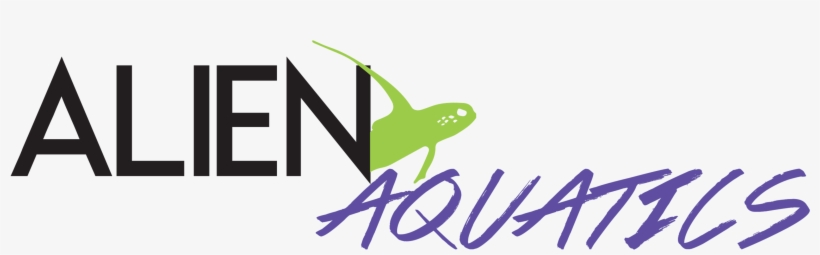 Tumblr Summer Banners Tropical Banners Mtm Png Tumblr, transparent png download